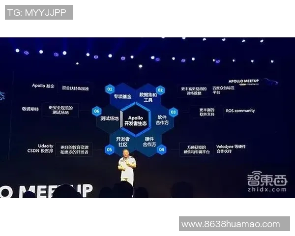 独家解析FPX技术优势与劣势的全面对比分析 独家解析FPX技术优势与劣势的全面对比分析