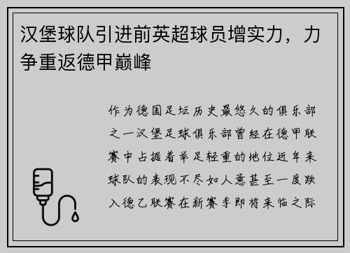 汉堡球队引进前英超球员增实力，力争重返德甲巅峰