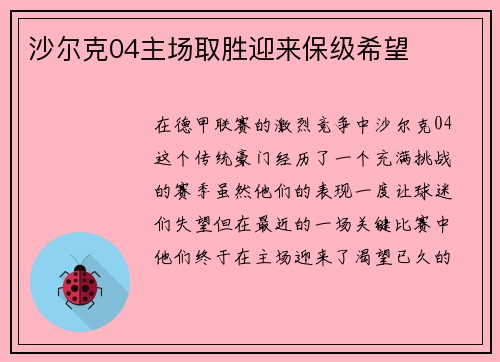沙尔克04主场取胜迎来保级希望