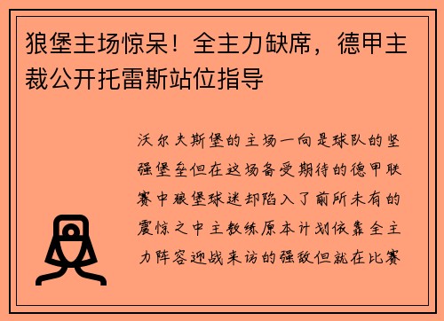 狼堡主场惊呆！全主力缺席，德甲主裁公开托雷斯站位指导
